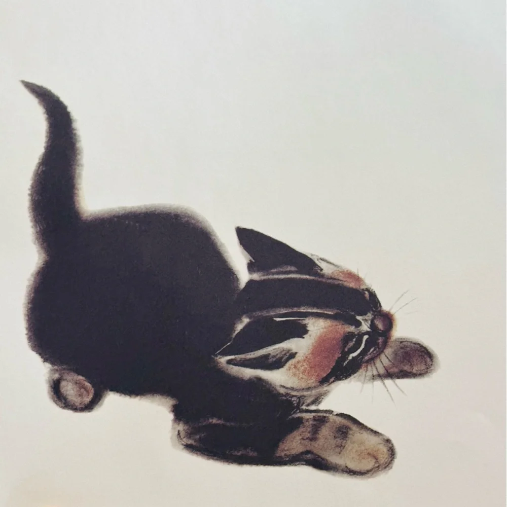 NEW Barkis Hardcover Classic Children’s Picture Book - Picture 8 of 11